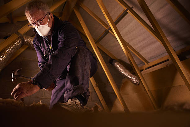 Best Specialized Insulation Services in Wmington, IL